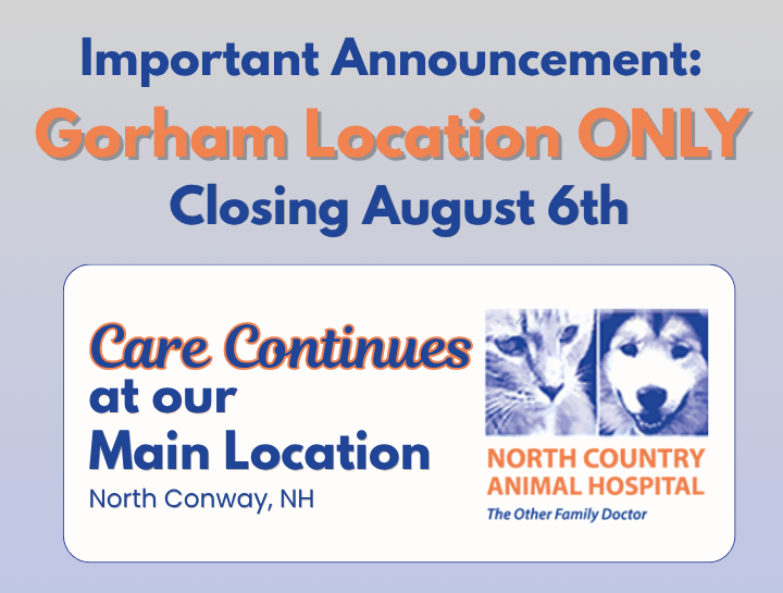 Important Announcement: Closure of Our Gorham Location